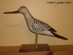 Yellow Leg Shore Bird