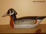 Drake Wood Duck
